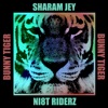 Ni8t Riderz - Single