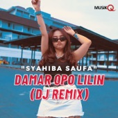 Damar Opo Lilin (DJ Remix) artwork