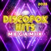 Discofox Hits Megamix 2023