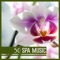 Ayurveda Relax - Zen Relaxation Academy lyrics