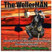 The Dream of the Wellerman artwork