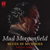 Blues in My Shoes artwork