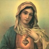 Immaculate Heart of Mary - Single