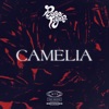 Camelia - Single
