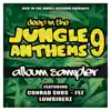 Deep in the Jungle Anthems 9 - Lp Sampler - Single album lyrics, reviews, download