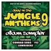 Deep in the Jungle Anthems 9 - Lp Sampler - Single