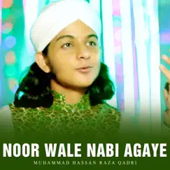 Noor Wale Nabi Agaye - Single by Muhammad Hassan Raza Qadri album reviews, ratings, credits