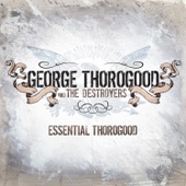 George Thorogood And The Destroyers - The Sky Is Crying - Live