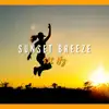 432 Hz Sunset Breeze album lyrics, reviews, download