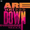 Are You Down - Single album lyrics, reviews, download