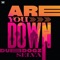 Dubdogz & Selva - Are You Down