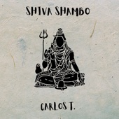 Shiva Shambo artwork