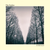 The Feelies - In Between (Reprise)