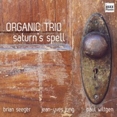 Organic Trio - Quirky