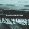 Walking in Shusha (feat. Alim Qasımov) - Single album lyrics, reviews, download