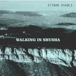 Walking in Shusha (feat. Alim Qasımov) - Single by Etibar Asadli album reviews, ratings, credits