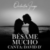 Bésame Mucho (feat. David D') - Single