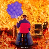 Miss You (Showtek Remix) artwork