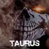 Taurus (Radio Version) song lyrics