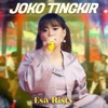 Joko Tingkir - Single