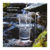 Spring Water (feat. Alan Broadbent, Darek Oles & Joe LaBarbera) [Kerem Görsev with Strings] artwork