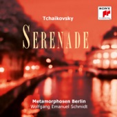 Serenade for String Orchestra in C Major, Op. 48: IV. Finale. Tema russo. Andante - Allegro con spirito artwork