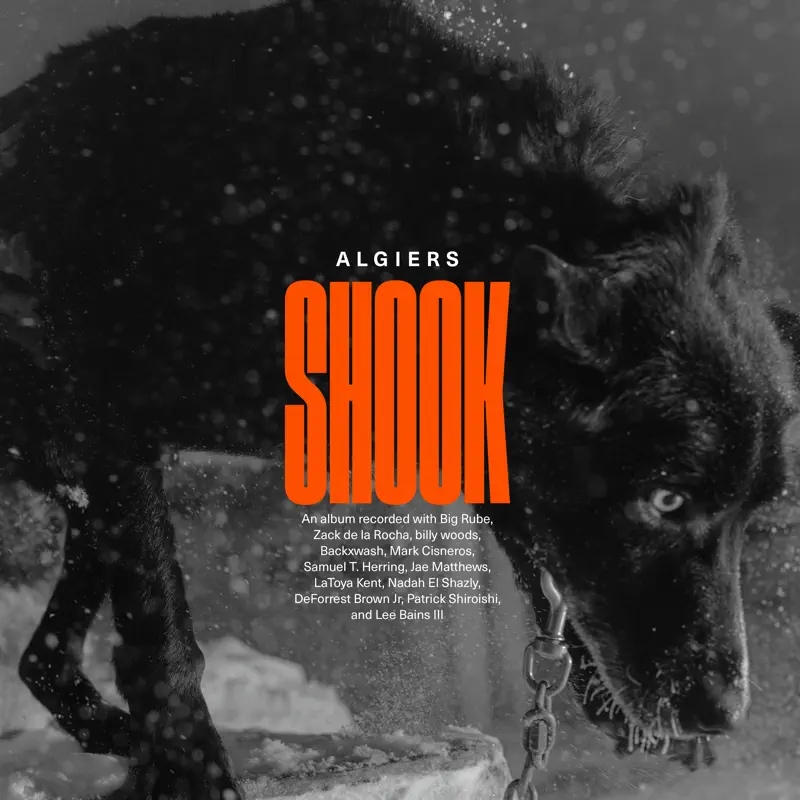 Algiers - Shook (2023) [iTunes Plus AAC M4A]-新房子