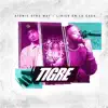 Stream & download Tigre - Single