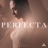 Perfecta (feat. Vinny Rivera, Johandy, Jhonny Evidence & DerekVinci) [Bachata Version] artwork