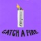 Catch a Fire (feat. Lei Di Dai) - D-DOTs lyrics