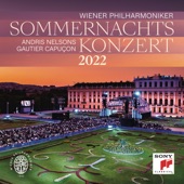 Sommernachtskonzert 2022 / Summer Night Concert 2022 artwork