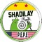 Shadilay (Italian Version) - Pepe lyrics