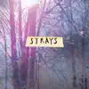 Strays (C) - EP album lyrics, reviews, download