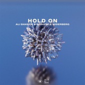 Hold On artwork