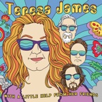 Teresa James - Ticket to Ride