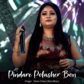 Pindare Polasher Bon artwork