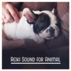 Reiki Sound for Animal: Therapy Music for Dogs, Calming Music for Pets, Release from Anxiety Your Four Legged Friend, Soothing Time