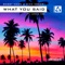 What You Said (feat. Lokka Vox) [MaRLo Remix] - Bobby Neon & Nick Arbor lyrics