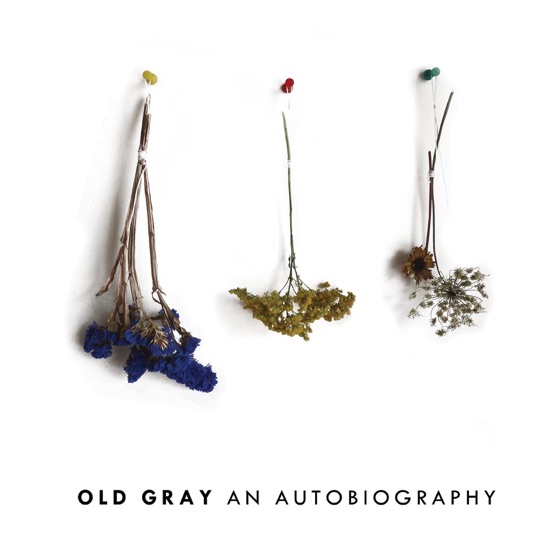 Cover artwork for Wolves