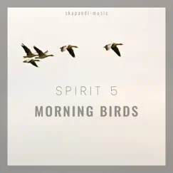 Morning Birds by Spirit 5 album reviews, ratings, credits
