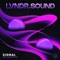 Signal (feat. Adam Deitch) - LVNDR.SOUND lyrics