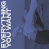 Everything You Want - Single