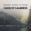Amazing Sounds of Nature: Oasis of Calmness – Peaceful Background for Relaxation and Meditation, Mental Clarity, Release Emotions and Get Positive Attitude, Improve Mindfulness album lyrics, reviews, download