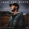 Gavin DeGraw - Face The River  artwork