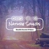 Beautiful Sounds of Nature - EP