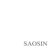 Translating The Name by Saosin