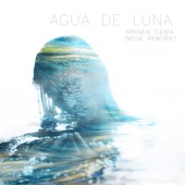 Agua de Luna (Mose Rework) artwork