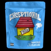 Exceptional (feat. Snoop Dogg) artwork