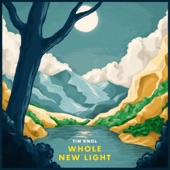 Whole New Light artwork