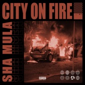 City on Fire artwork